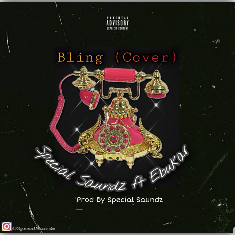 MP3: Special Saundz Ft. Ebukar – Bling (Cover)