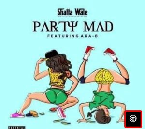 Shatta Wale Ft. Ara B - Party Mad