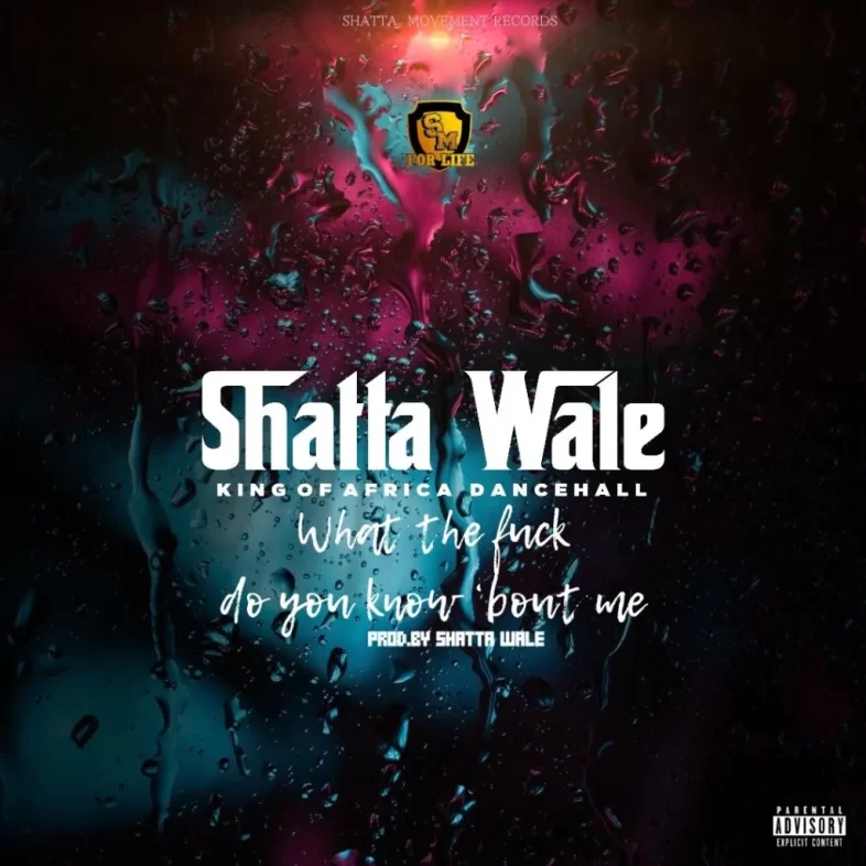 Shatta Wale – What Do You Know About Me