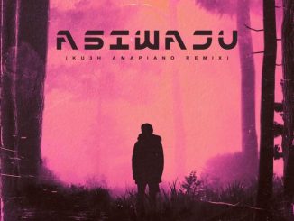 DJ Kush ft Ruger – Asiwaju (KU3H Amapiano Remix)