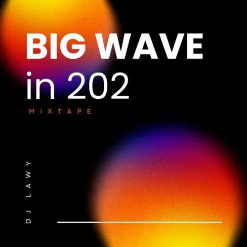 DJ Lawy – Big Wave In 202 Mix