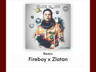 Shallipopi – Elon Musk (Remix) Ft. Fireboy DML & Zlatan