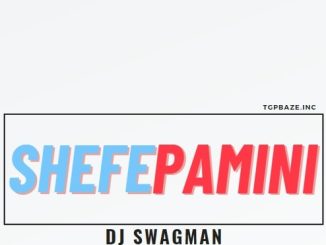 Dj Swagman – Shefepamini